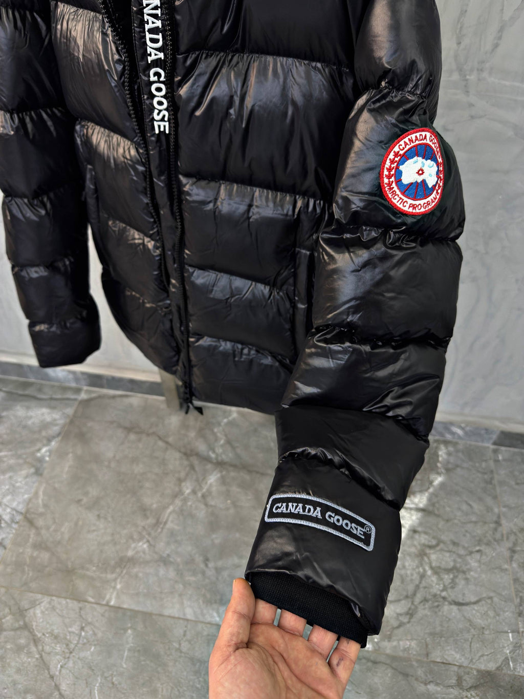 Canada Goose
