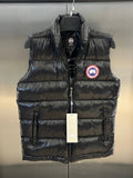 Canada Goose