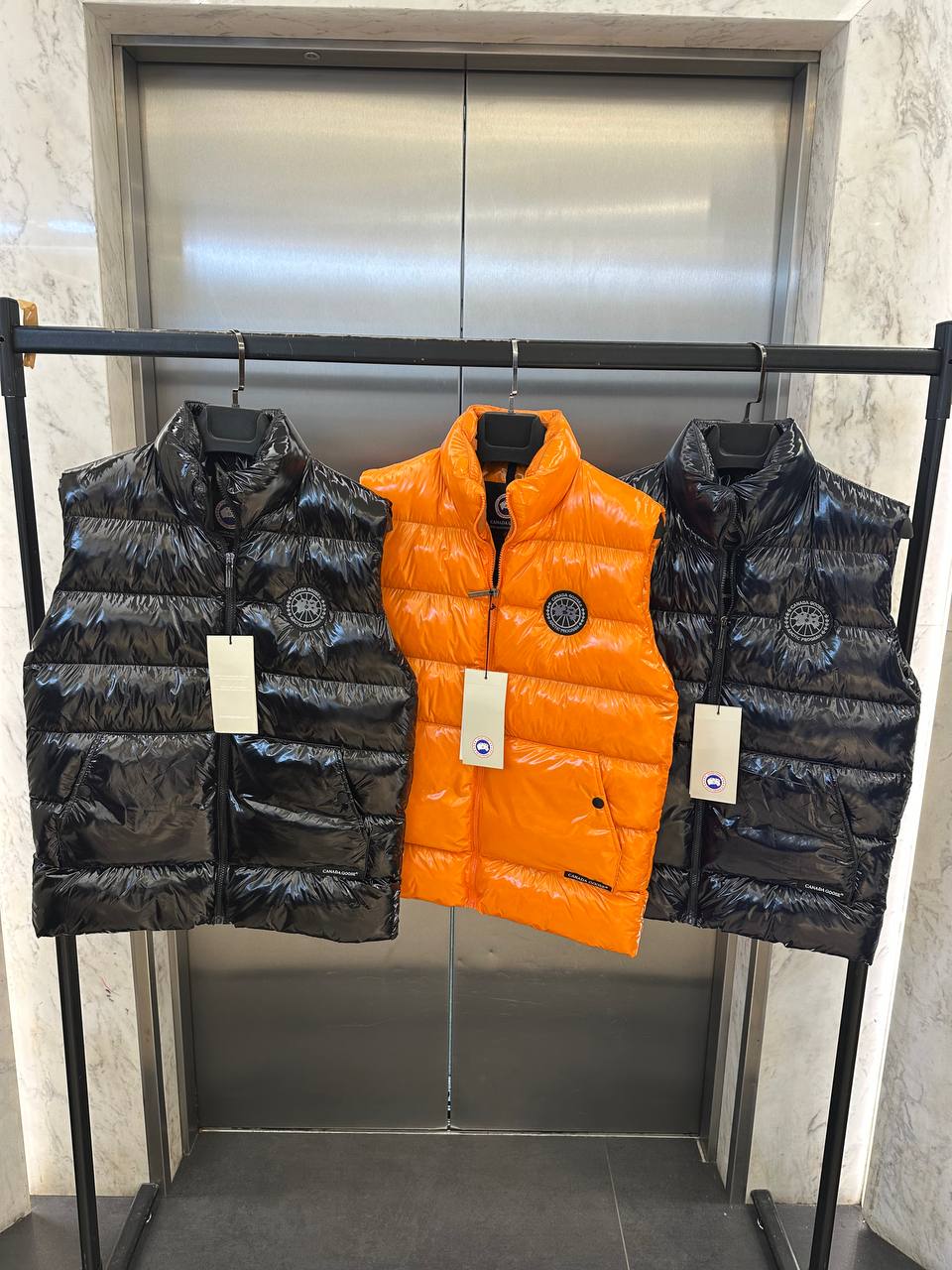 Canada Goose