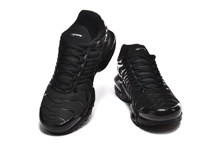 Nike Air Max Plus TN “Triple Black”