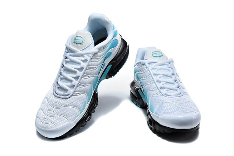 NIKE AIR MAX PLUS TN “DUSTY CACTUS”