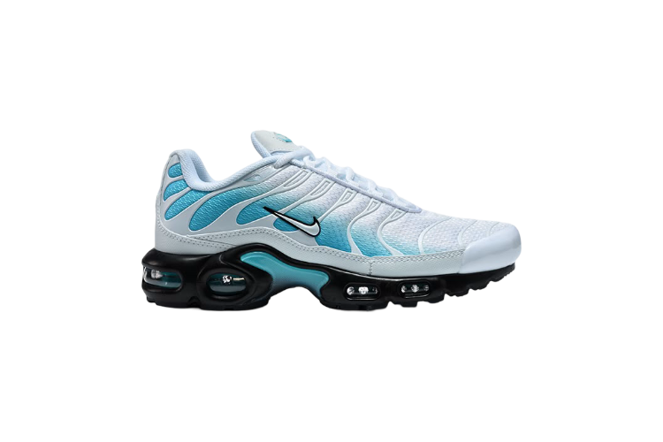 NIKE AIR MAX PLUS TN “DUSTY CACTUS”
