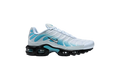 NIKE AIR MAX PLUS TN “DUSTY CACTUS”